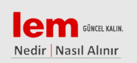logo lem